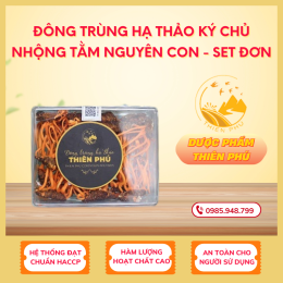 Đông trùng hạ thảo ký chủ nhộng tằm nguyên con - Set đơn