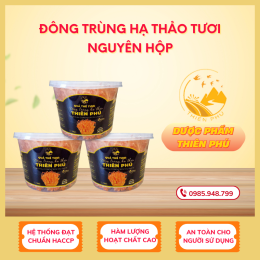 Đông trùng hạ thảo tươi nguyên hộp